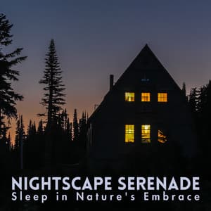 Nightscape Serenade: Sleep in Nature's Embrace - World Recorders