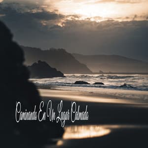 Caminando En Un Lugar Calmado - Música Relajante