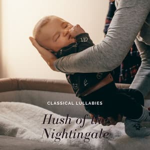 Hush of the Nightingale: Lullaby - Classical Lullabies