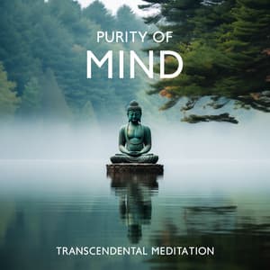 Purity Of Mind: Transcendental Meditation with Flute and The Sounds of Mountain Streams - Buddha Music Sanctuary