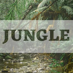 Jungle - Chillout Music Lounge