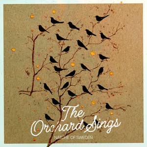 The Orchard Sings - Nature Of Sweden