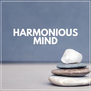 Harmonious Mind - Paz Interior