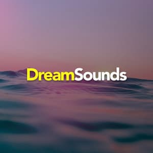 Dream Sounds - Nature Sounds Nature Music