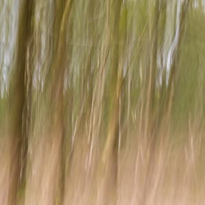 365 Zen: The Key To Calm - between waves