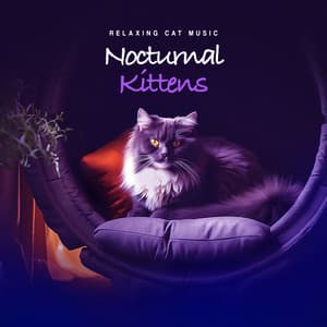 Nocturnal Kittens - Relaxing Cat Music