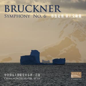 布鲁克纳：第六交响曲（Bruckner: Symphony No. 6） - Anton Bruckner