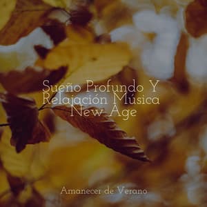 Sueño Profundo Y Relajación Música New Age - Musica Para Dormir y Sonidos de la Naturaleza