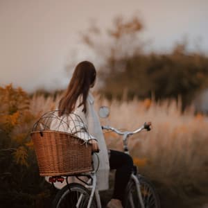 Lofi Sound Waves: A Gentle Ride to Serenity - Sad LoFi Boy