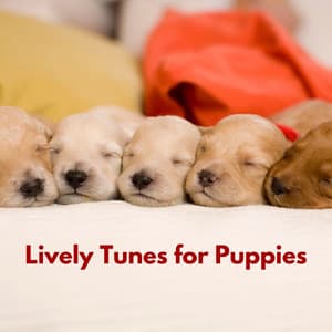 Lively Tunes for Puppies - Jazz Relajante