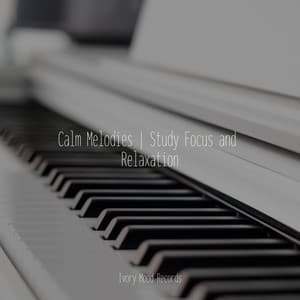 Calm Melodies | Study Focus and Relaxation - Ivory Mood