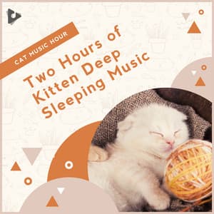 2 Hours of Kitten Deep Sleeping Music - Cat Music Hour