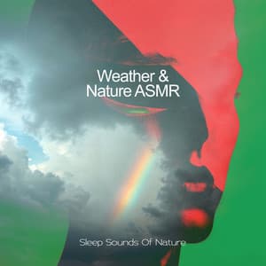 Weather & Nature ASMR - Sleep Sounds of Nature