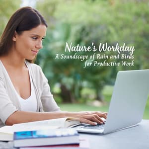 Nature's Workday: A Soundscape of Rain and Birds for Productive Work - Danny Rainsounds
