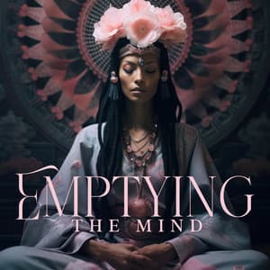 Emptying The Mind - Meditation Cleansing Negative Thoughts And Feelings - Native Meditation Zone