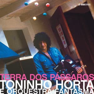 Terra dos Pássaros - Toninho Horta