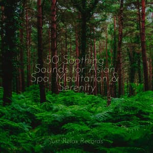50 Soothing Sounds for Asian Spa, Meditation & Serenity - Sonidos de la Naturaleza Relajacion