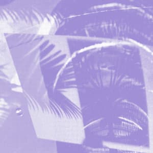 Globe Notes - Mike Cooper