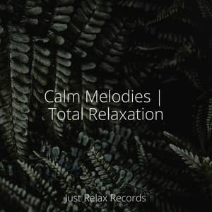 Calm Melodies | Total Relaxation - Thunderstorm Sound Bank