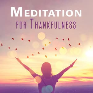 Meditation for Thankfulness: Calming Sounds for Gratefulness and Appreciation - Inspiring Meditation Sounds Academy
