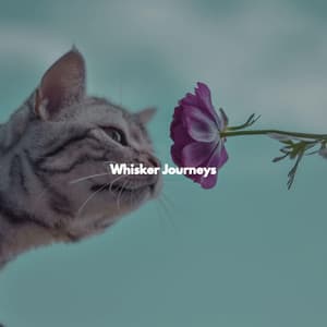 Whisker Journeys - Elegante Música para la Cena Familiar