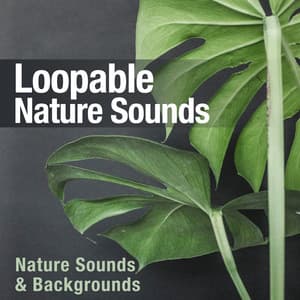 Loopable Nature Sounds - Nature Sounds & Backgrounds
