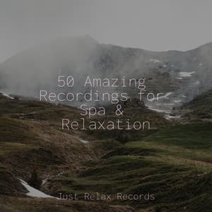 50 Amazing Recordings for Spa & Relaxation - Calming Sounds