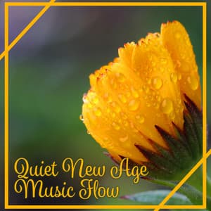 Quiet New Age Music Flow: Sounds for Meditation and Relaxation, Music Therapy for Calm Mind and Body, Ambient Massage Music, Natural Noise - Zen Natural Sounds