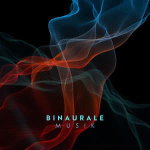 Neuraler Fluss - David Kernes