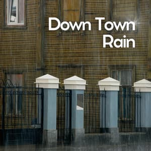 Down Town Rain - Rainforest Ambience