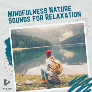 Mindfulness Nature Sounds for Relaxation - #Calming