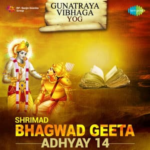 Shrimad Bhagwad Geeta Adhyay 14 - Shailendra Bharti