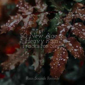 50 New Age & Heavy Rain Tracks for Sleep - Shakuhachi Sakano
