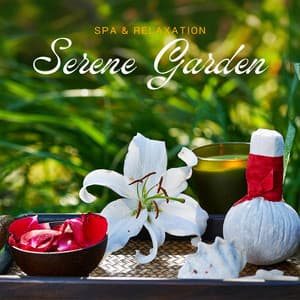 Serene Garden: Relaxing Spa Tunes - Spa & Relaxation