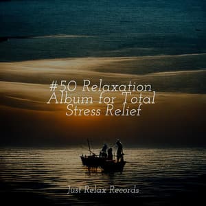 #50 Relaxation Album for Total Stress Relief - Relajacion Del Mar