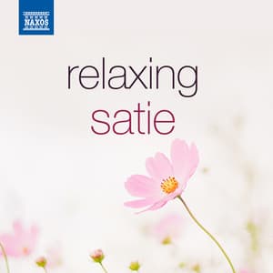 Relaxing Satie - Erik Satie