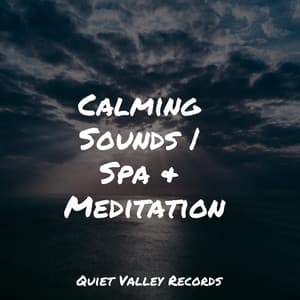 Calming Sounds | Spa & Meditation - Alpha Waves