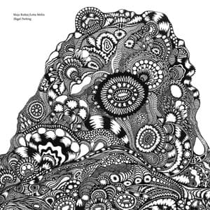 Illegal Parking - Maja Ratkje