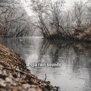 spa rain sounds - Ambient Rain