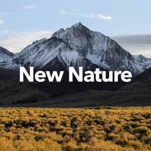 New Nature - Sounds of Nature Relaxation