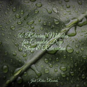 50 Relaxing Melodies for Complete Deep Sleep & Relaxation - Musica Romantica