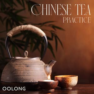 Chinese Tea Practice - Chinese Yang Qin Relaxation Man