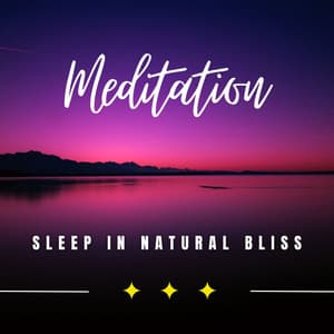 Serenade of the Woods: Sleep in Natural Bliss - Sounds of the Jungle