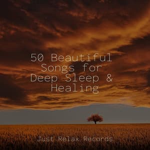 50 Beautiful Songs for Deep Sleep & Healing - Thunderstorm Sound Bank