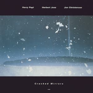 Cracked Mirrors - Harry Pepl
