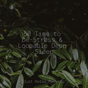 50 Time to De-Stress & Loopable Deep Sleep - Study Music & Sounds