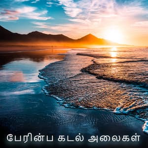 பேரின்ப கடல் அலைகள்: உடலுக்கும் மனதுக்கும் இசை - ஓய்வு பகுதி