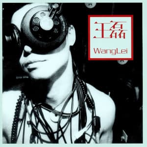 Wang Lei - Wang Lei