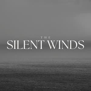 The Silent Winds - Musica Reiki