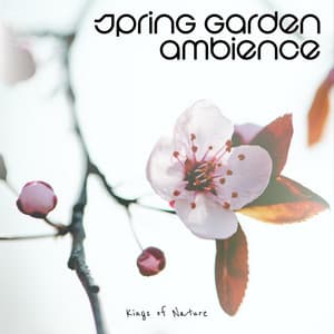 Spring Garden Ambience - Kings of Nature